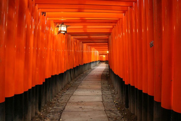 伏見稲荷神社 1 e4bc8fe8a68be7a8b2e88db7e7a59ee7a4be