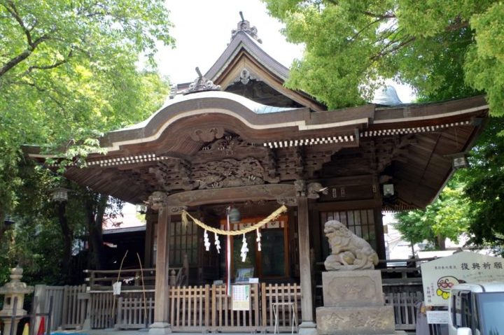 女躰大神 1 e5a5b3e8bab0e5a4a7e7a59e