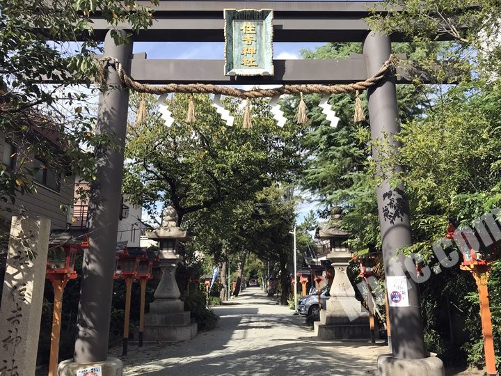 服部住吉神社 1 e69c8de983a8e4bd8fe59089e7a59ee7a4be