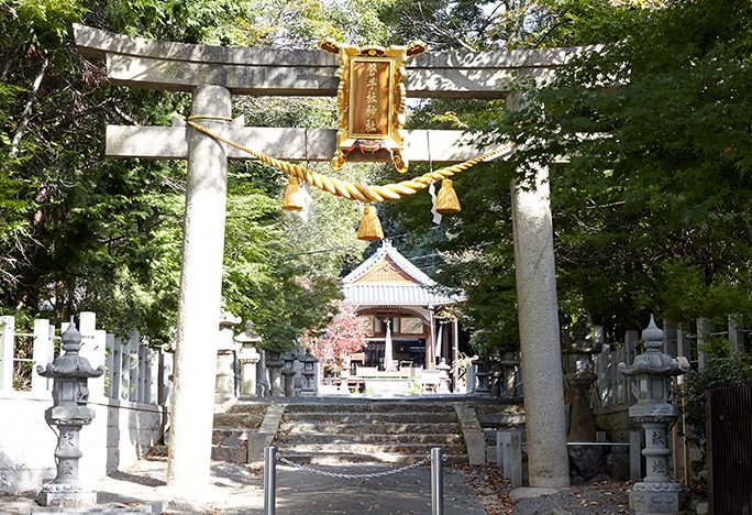 磐手杜神社 1 e7a390e6898be69d9ce7a59ee7a4be