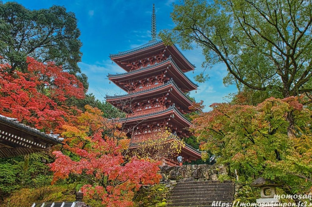 第三十一番札所 竹林寺 1 e7acace4b889e58d81e4b880e795aae69cade68980 e7abb9e69e97e5afba